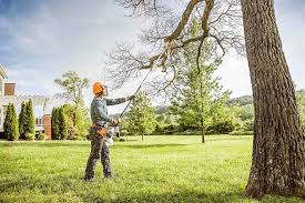 Best Lawn Watering Services  in Vineyard, CA